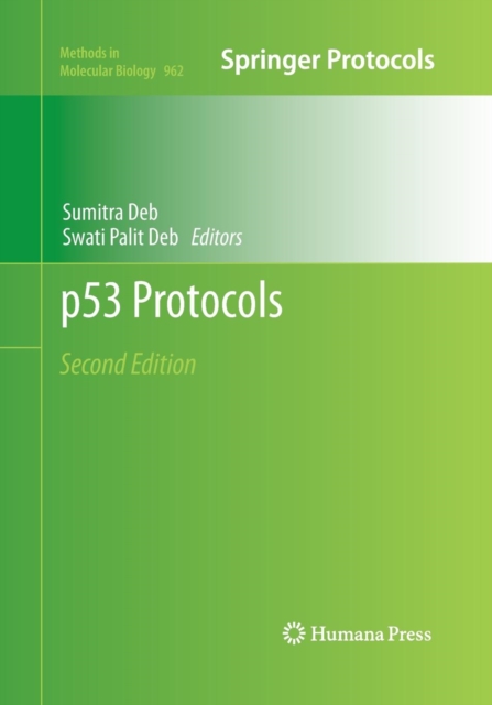 p53 Protocols, Paperback / softback Book
