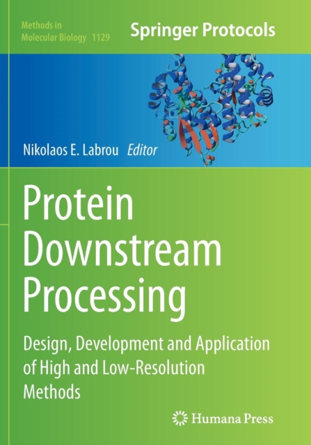Protein Downstream Processing : Design, Development and Application of High and Low-Resolution Methods, Paperback / softback Book