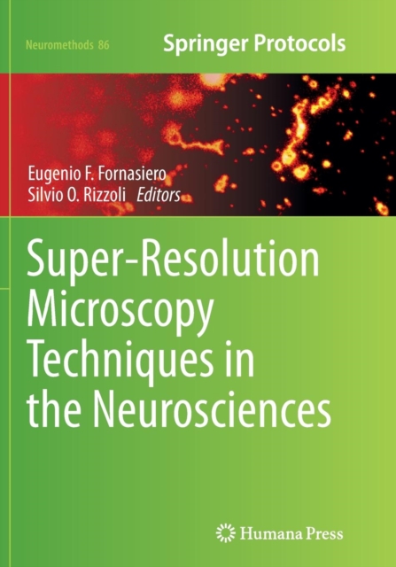Super-Resolution Microscopy Techniques in the Neurosciences, Paperback / softback Book