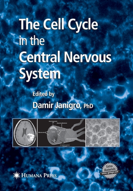The Cell Cycle in the Central Nervous System, Paperback / softback Book