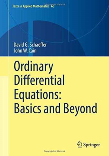 Ordinary Differential Equations: Basics and Beyond, Hardback Book