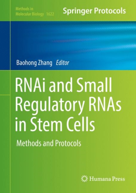 RNAi and Small Regulatory RNAs in Stem Cells : Methods and Protocols, Hardback Book