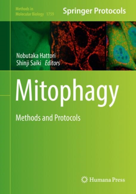 Mitophagy : Methods and Protocols, Hardback Book