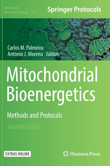Mitochondrial Bioenergetics : Methods and Protocols, Hardback Book