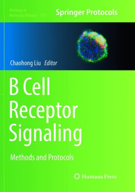 B Cell Receptor Signaling : Methods and Protocols, Paperback / softback Book