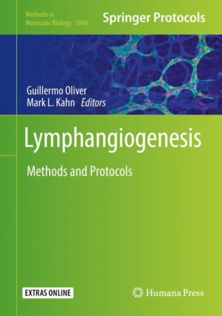 Lymphangiogenesis : Methods and Protocols, Hardback Book