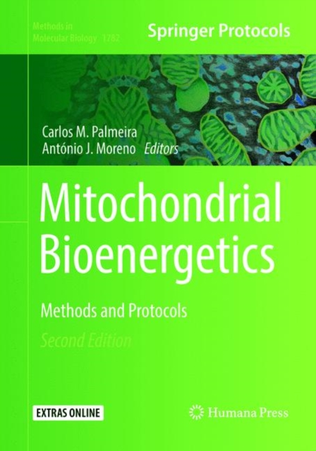 Mitochondrial Bioenergetics : Methods and Protocols, Paperback / softback Book