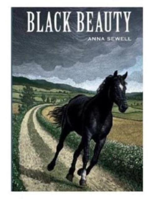 Black Beauty, Paperback / softback Book
