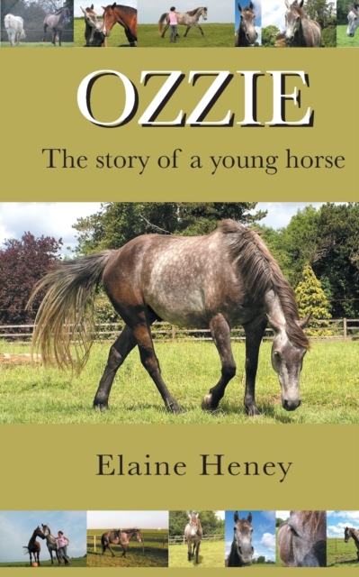 Ozzie - The Story of a Young Horse, Paperback / softback Book