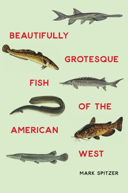 Beautifully Grotesque Fish of the American West, EPUB eBook