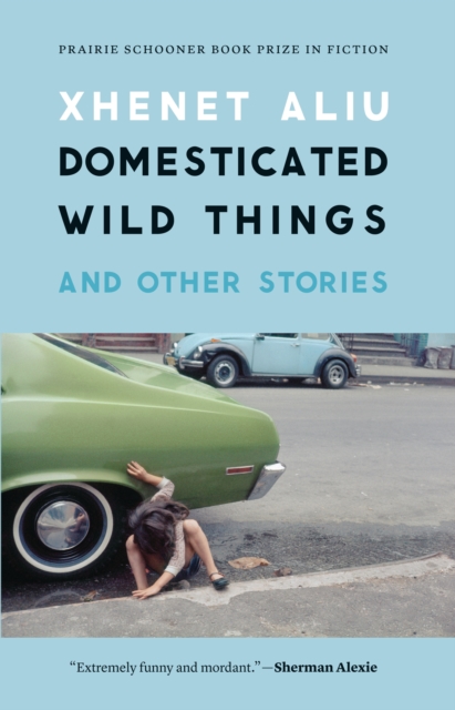 The Domesticated Wild Things, and Other Stories, EPUB eBook