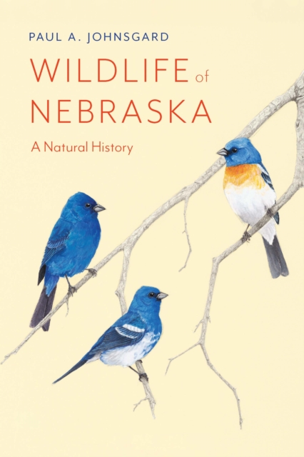 Wildlife of Nebraska : A Natural History, Paperback / softback Book