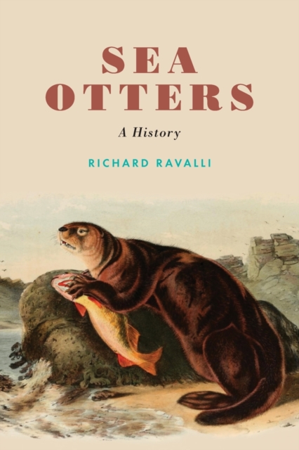 Sea Otters : A History, Paperback / softback Book
