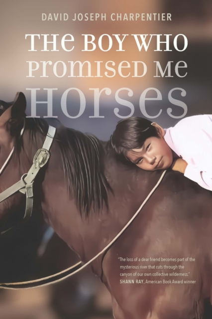 The Boy Who Promised Me Horses, Paperback / softback Book