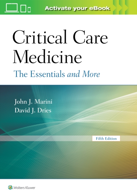 Critical Care Medicine : The Essentials and More, Paperback / softback Book