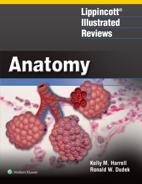 Lippincott Illustrated Review: Anatomy, Paperback Book