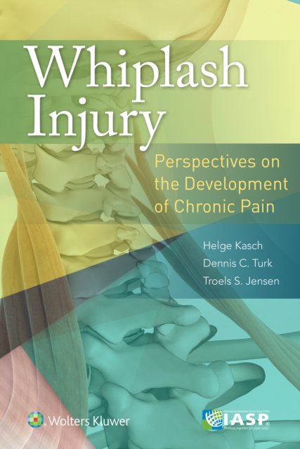 Whiplash Injury : Perspectives on the Development of Chronic Pain, Paperback / softback Book