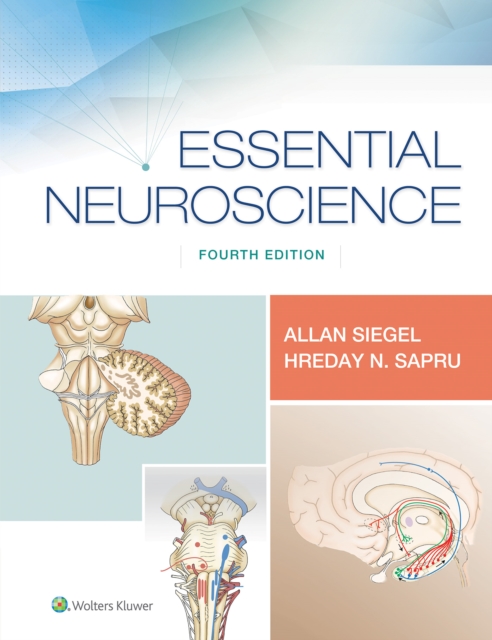 Essential Neuroscience, EPUB eBook