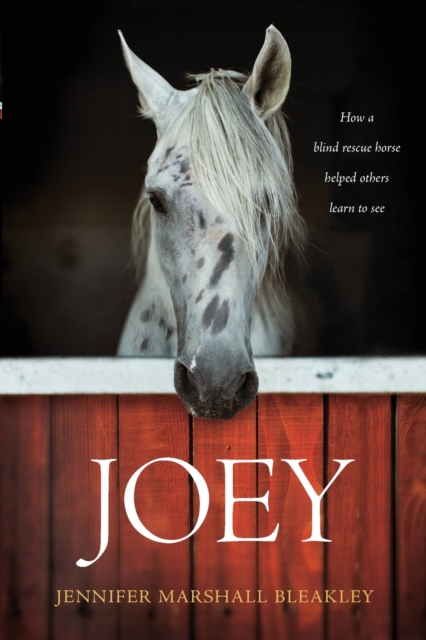 Joey, Paperback / softback Book