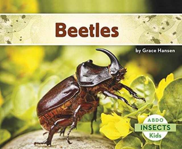 Beetles, Paperback / softback Book