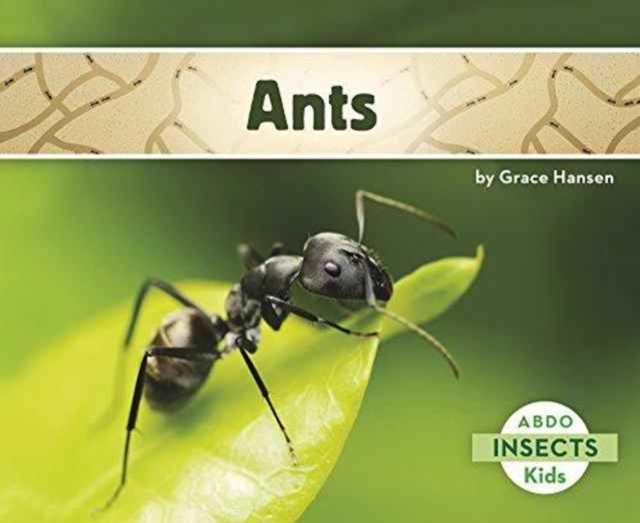 Ants, Paperback / softback Book