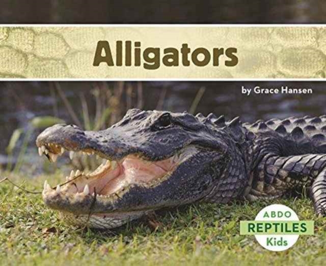 Alligators, Paperback / softback Book