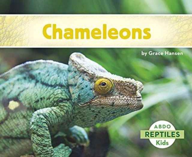 Chameleons, Paperback / softback Book