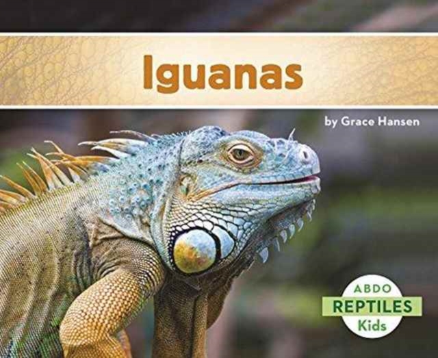 Iguanas, Paperback / softback Book