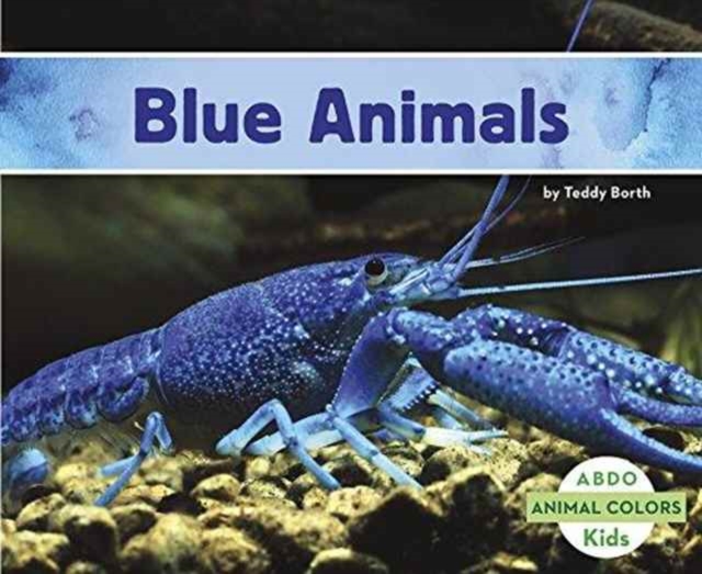 Blue Animals, Paperback / softback Book