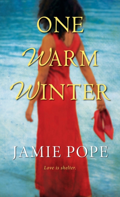 One Warm Winter, Paperback / softback Book