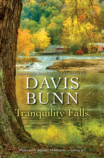 Tranquility Falls, Hardback Book