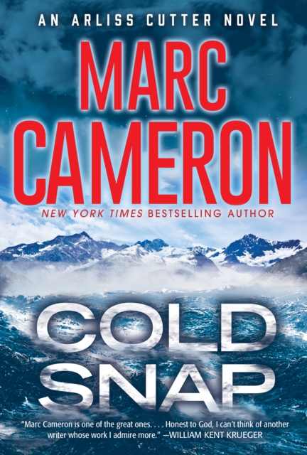 Cold Snap : An Action Packed Novel of Suspense, EPUB eBook