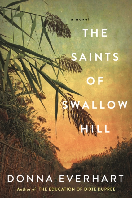 The Saints of Swallow Hill : A Fascinating Depression Era Historical Novel, EPUB eBook