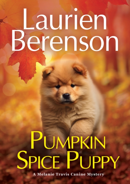 Pumpkin Spice Puppy, Hardback Book