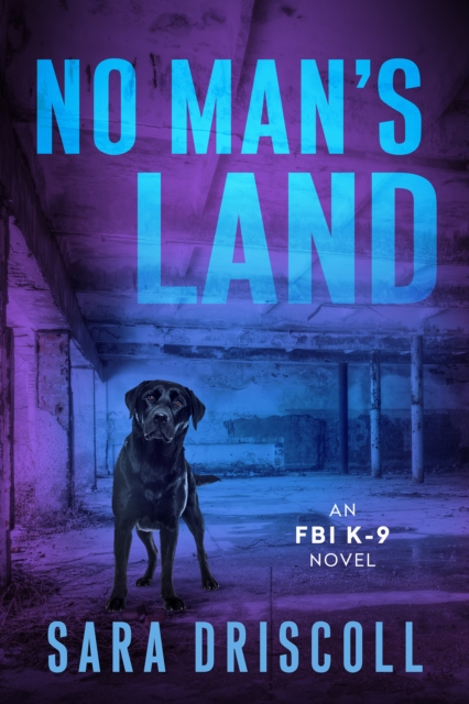 No Man's Land, Paperback / softback Book