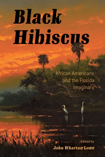 Black Hibiscus : African Americans and the Florida Imaginary, EPUB eBook