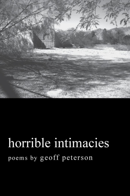 Horrible Intimacies, Paperback / softback Book
