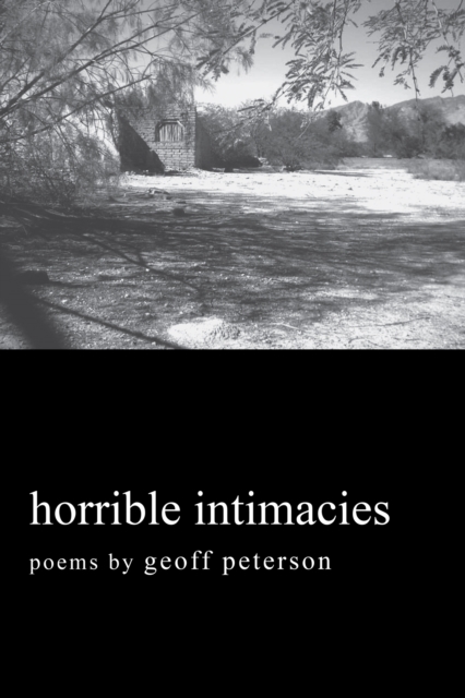 Horrible Intimacies, EPUB eBook