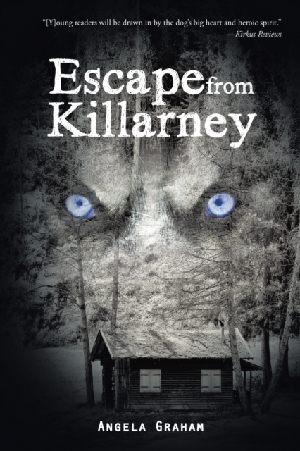 Escape from Killarney, EPUB eBook