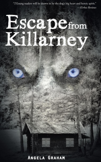 Escape from Killarney, Hardback Book