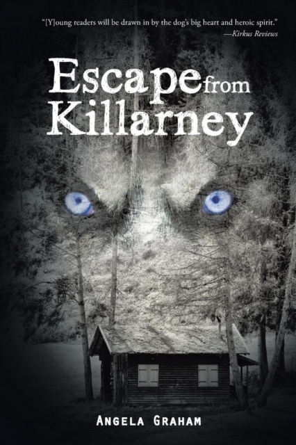 Escape from Killarney, Paperback / softback Book