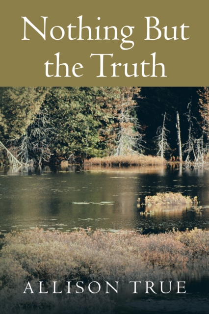Nothing but the Truth, EPUB eBook