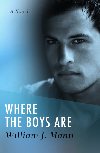Where the Boys Are : A Novel, EPUB eBook