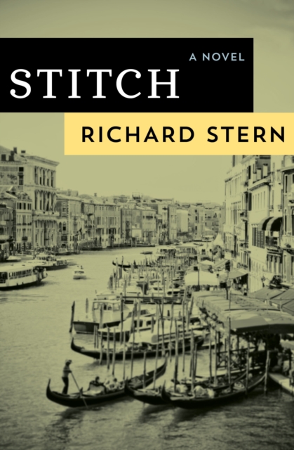 Stitch : A Novel, EPUB eBook