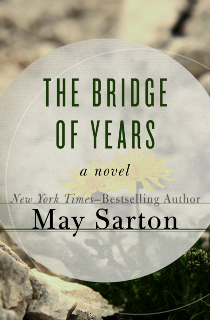 The Bridge of Years : A Novel, EPUB eBook