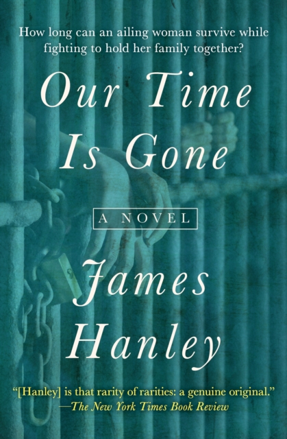 Our Time Is Gone : A Novel, EPUB eBook