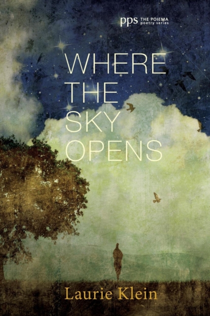 Where the Sky Opens, Paperback / softback Book