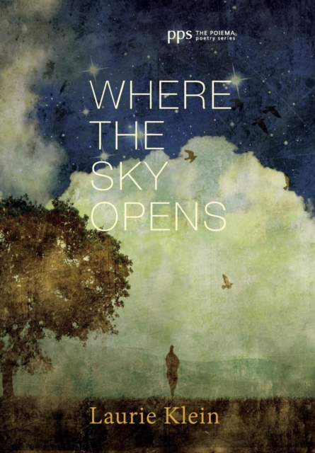 Where the Sky Opens, Hardback Book