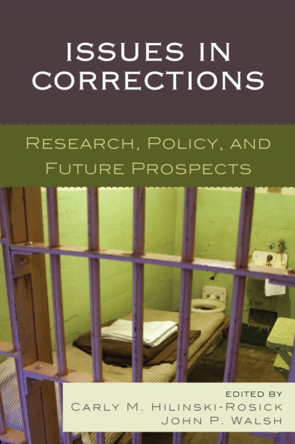Issues in Corrections : Research, Policy, and Future Prospects, Paperback / softback Book
