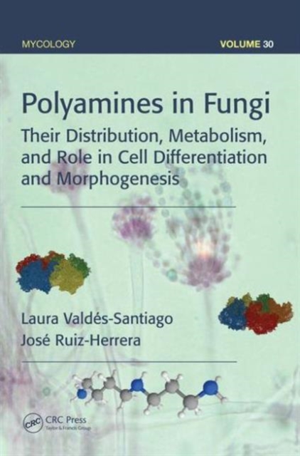 Polyamines in Fungi : Their Distribution, Metabolism, and Role in Cell Differentiation and Morphogenesis, Hardback Book